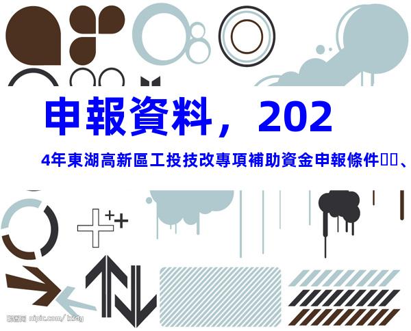 申報資料，2024年東湖高新區工投技改專項補助資金申報條件、補助標準
